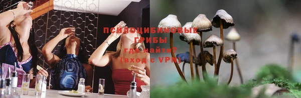 Альфа ПВП Балахна