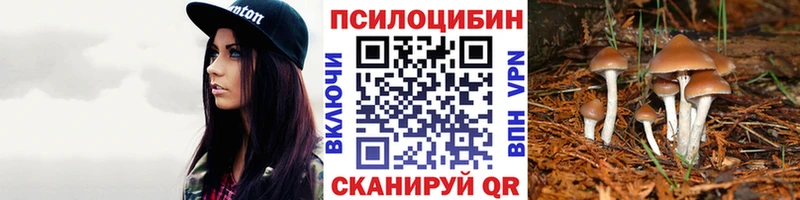 как найти наркотики  Кумертау  Псилоцибиновые грибы Magic Shrooms 